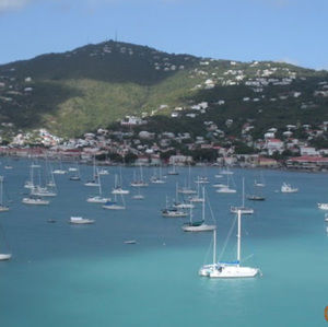 Meet your Posher, Fiona